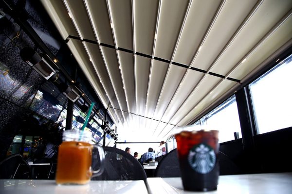 Cedrus-Gallery6 Cedrus-Gallery6